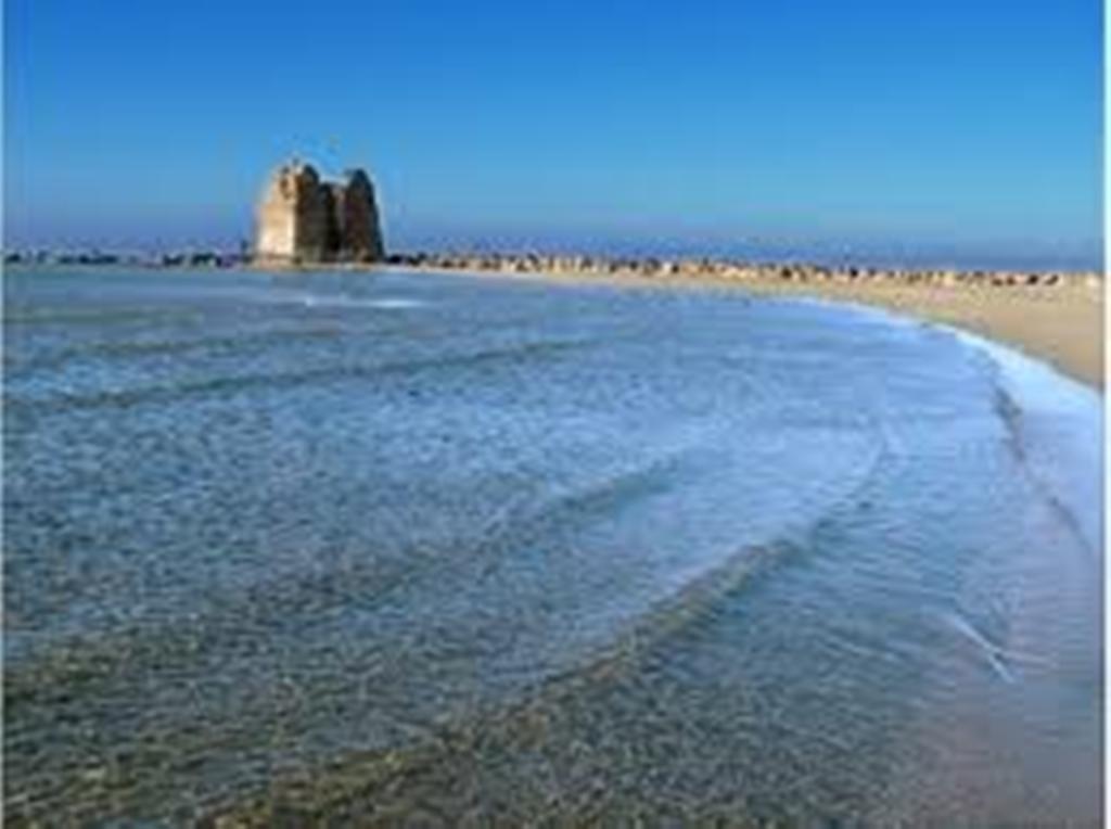 Le acque di Ladispoli sono pulite, un pò meno quelle di Cerveteri