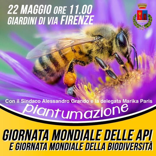Domenica 22 Maggio Messa A Dimora Delle Piante Amiche Delle Api Nei 